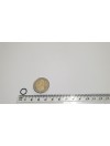 O Ring M0080