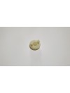 Perforatore capsula