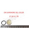 OR superiore del cicler Spinel Lola