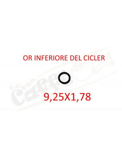 Or inferiore del cicler Spinel Mini Mini