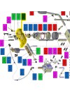 Scambiatore La Piccola Cecilia (Nuovo Modello)