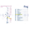 Diffusore Didiesse Baby Frog C&T