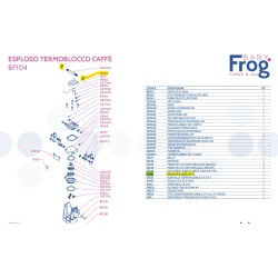 Seger Asse Baby Frog C&T